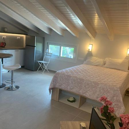 Terpsichore Boutique Bright New Sofita Studios And Appartment Dassia  Exterior foto